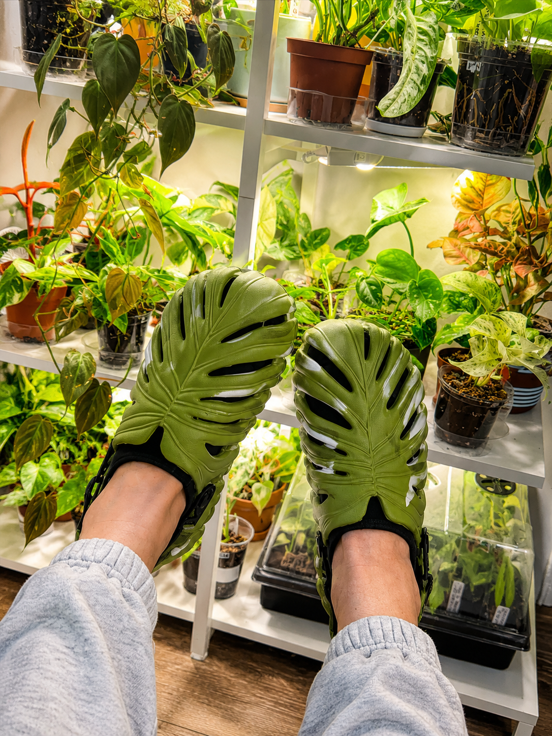 Sandália Slide EVA Estampa Monstera