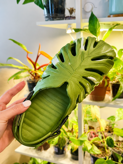 Sandália Slide EVA Estampa Monstera