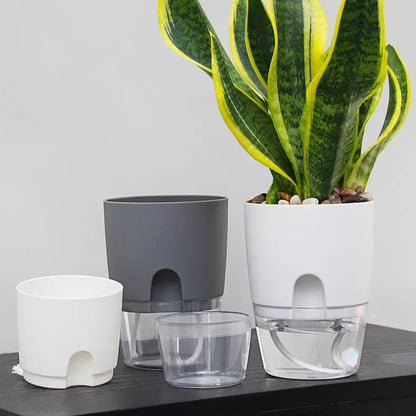 Vaso Autoirrigável Transparente com Reservatório de Água