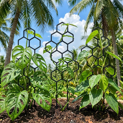 Treliça Colmeia para Plantas Trepadeiras