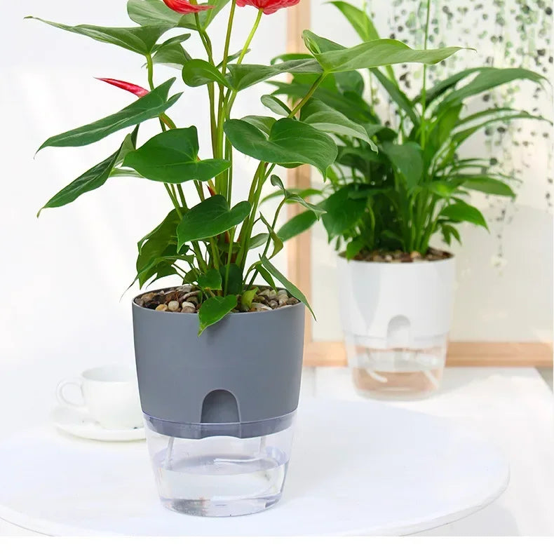 Vaso Autoirrigável Transparente com Reservatório de Água