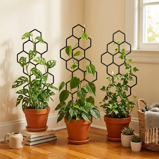 Treliça Colmeia para Plantas Trepadeiras