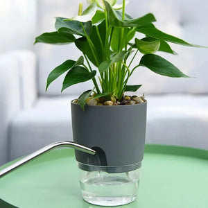 Vaso Autoirrigável Transparente com Reservatório de Água