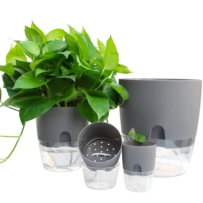 Vaso Autoirrigável Transparente com Reservatório de Água