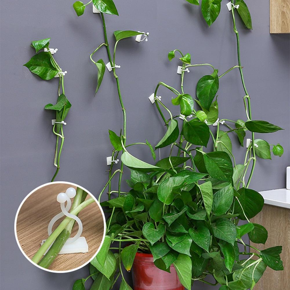 Gancho Invisível Para Plantas - Decorações - Decoração com plantas, gancho para pendurar plantas, Gancho para plantas, gancho para plantas de parede, gancho para plantas de teto, gancho para plantas externas, gancho para plantas suspensas, invisivel, jardinagem, organizacao, plantas em macramê, plantas suspensas, suacasa, suporte de parede para plantas, suporte de plantas, suporte para plantas, suporte para plantas de parede, suporte para plantas internas, suporte para plantas suspensas