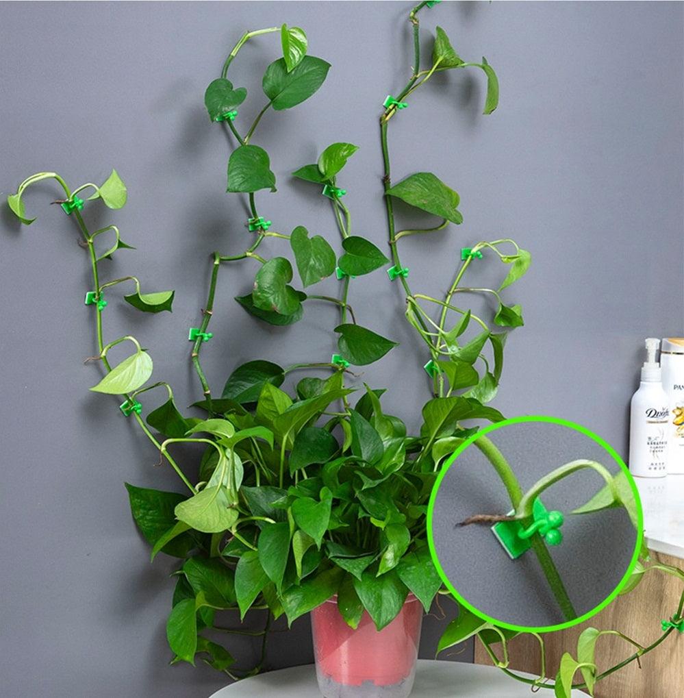 Gancho Invisível Para Plantas - Decorações - Decoração com plantas, gancho para pendurar plantas, Gancho para plantas, gancho para plantas de parede, gancho para plantas de teto, gancho para plantas externas, gancho para plantas suspensas, invisivel, jardinagem, organizacao, plantas em macramê, plantas suspensas, suacasa, suporte de parede para plantas, suporte de plantas, suporte para plantas, suporte para plantas de parede, suporte para plantas internas, suporte para plantas suspensas