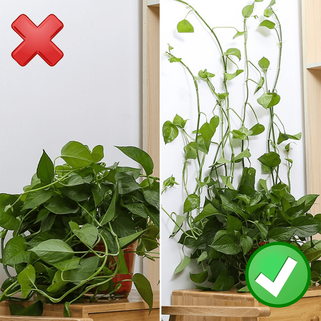 Gancho Invisível Para Plantas - Decorações - Decoração com plantas, gancho para pendurar plantas, Gancho para plantas, gancho para plantas de parede, gancho para plantas de teto, gancho para plantas externas, gancho para plantas suspensas, invisivel, jardinagem, organizacao, plantas em macramê, plantas suspensas, suacasa, suporte de parede para plantas, suporte de plantas, suporte para plantas, suporte para plantas de parede, suporte para plantas internas, suporte para plantas suspensas