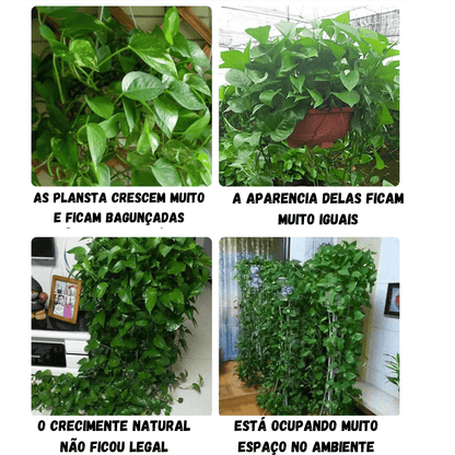 Gancho Invisível Para Plantas - Decorações - Decoração com plantas, gancho para pendurar plantas, Gancho para plantas, gancho para plantas de parede, gancho para plantas de teto, gancho para plantas externas, gancho para plantas suspensas, invisivel, jardinagem, organizacao, plantas em macramê, plantas suspensas, suacasa, suporte de parede para plantas, suporte de plantas, suporte para plantas, suporte para plantas de parede, suporte para plantas internas, suporte para plantas suspensas